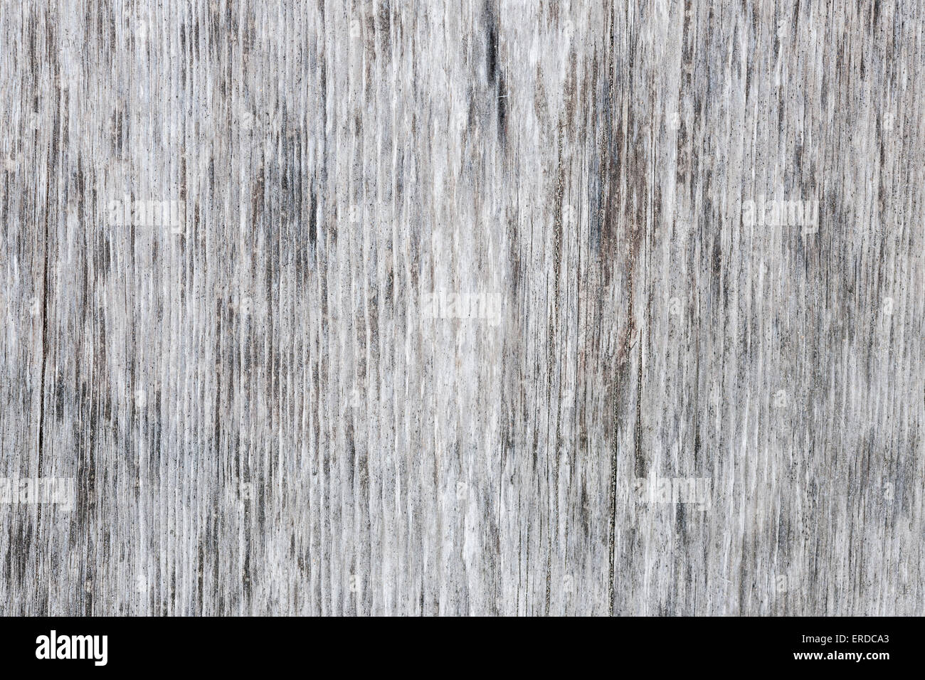 Grigio sfondo di legno di weathered distressed non verniciata legno rustico mostra woodgrain texture Foto Stock
