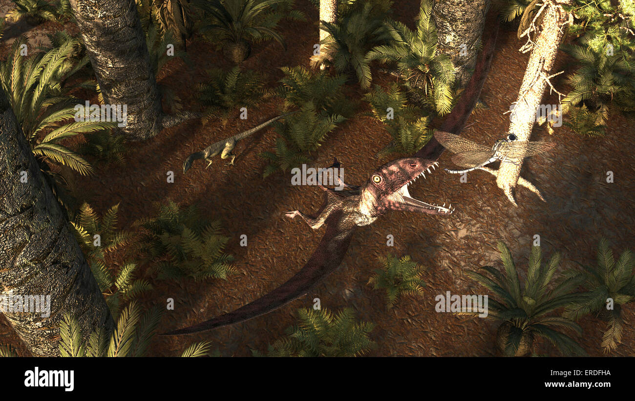 Un Dimorphodon pteranodonte a caccia di un insetto durante i primi Jurassic circa 193 milioni di anni fa. Dimorphodons vissuto tra la ea Foto Stock