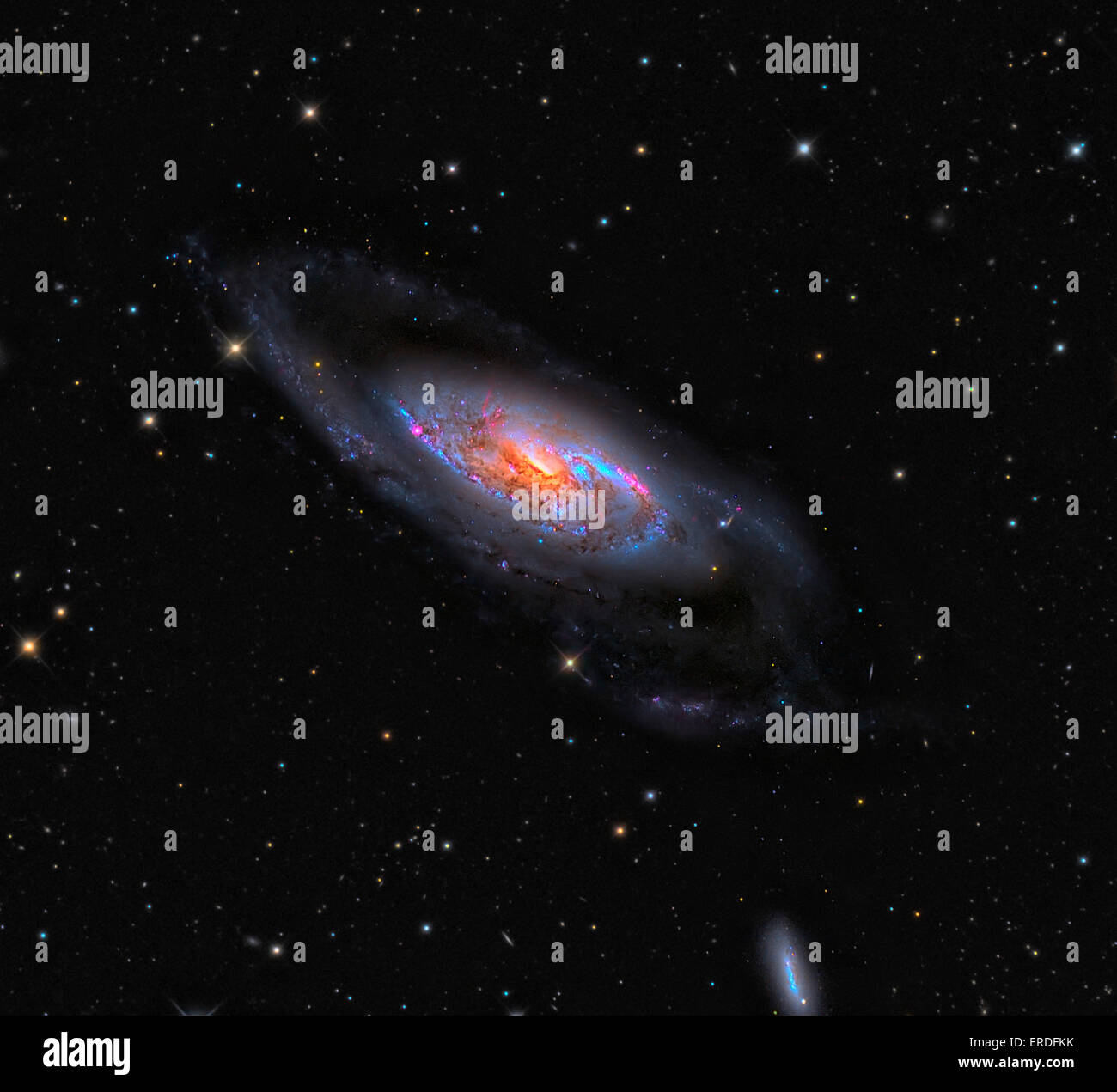 Messier 106, un Seyfert II Galaxy. Foto Stock