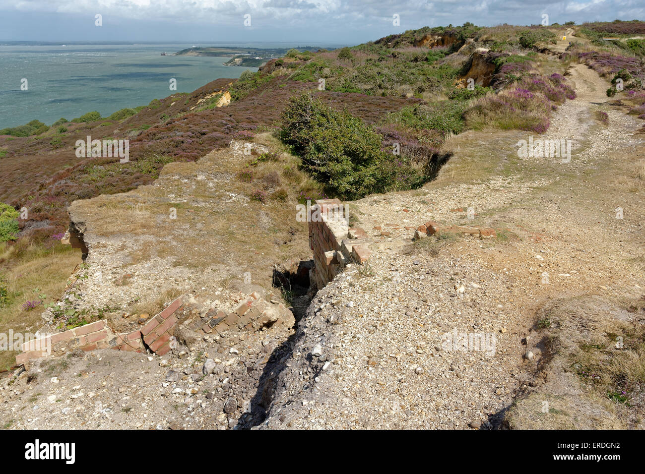 Erosione costiera, Headon Warren, Totland, Isola di Wight in Inghilterra Foto Stock