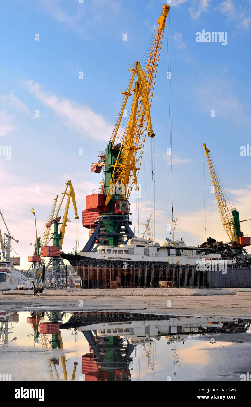 La grande gru industriali per container nel porto Foto Stock