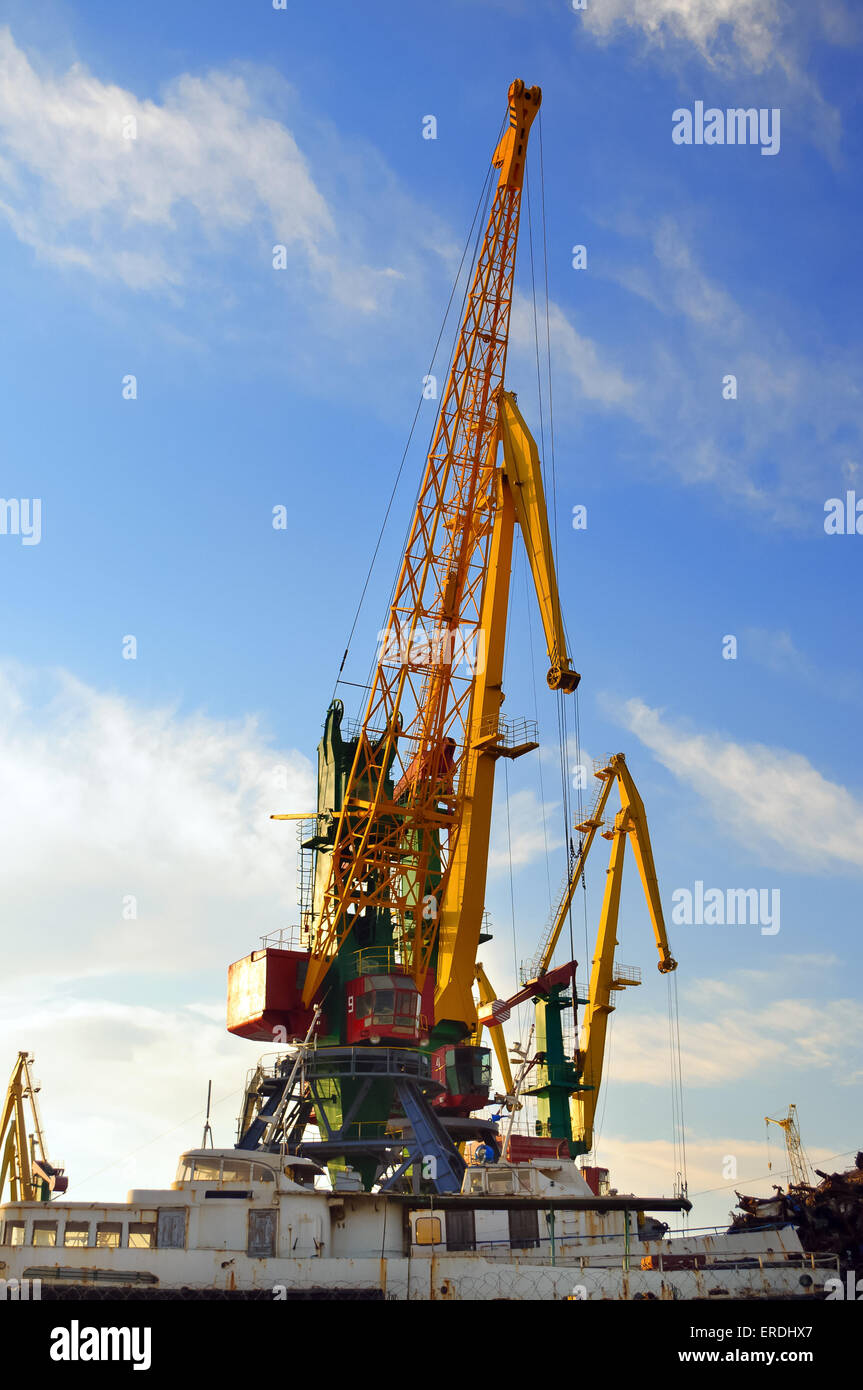 La grande gru industriali per container nel porto Foto Stock