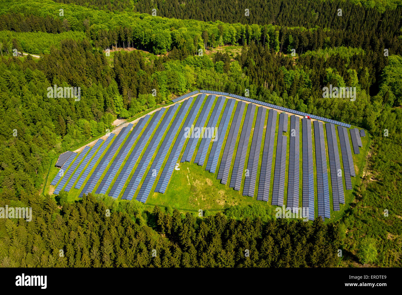 Impianto solare nella foresta, Arnsberg-Holzen, Arnsberg, Sauerland, Nord Reno-Westfalia, Germania Foto Stock