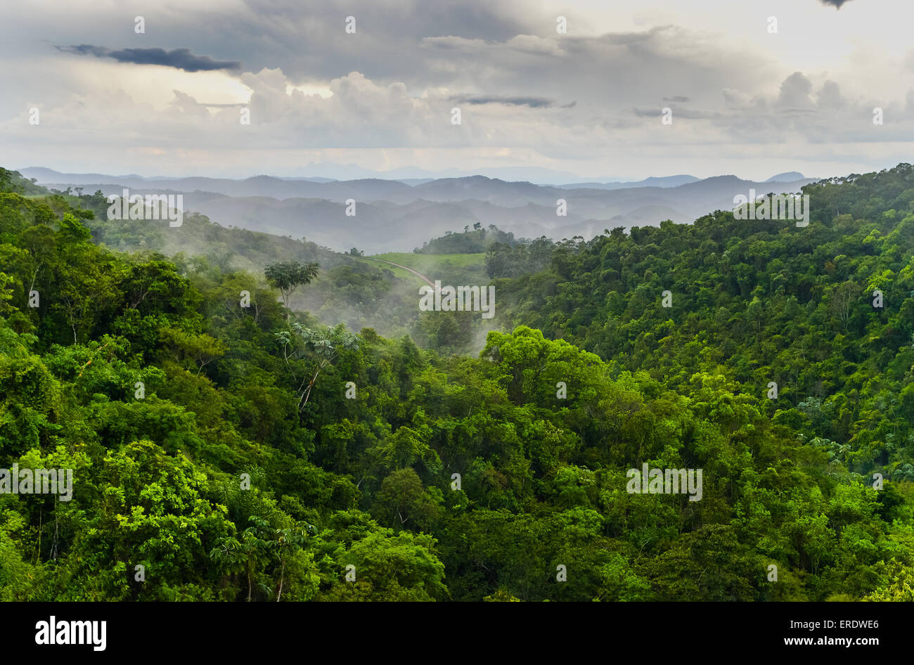 Foresta atlantica, Serra do Funil, Rio Preto, Minas Gerais, Brasile Foto Stock