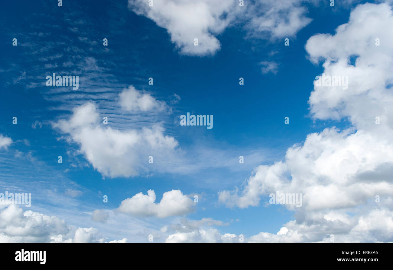 Cumulus nubi in un cielo blu. Regno Unito Foto Stock