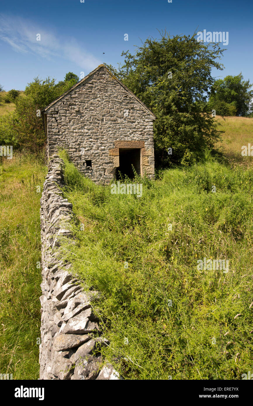 Regno Unito, Inghilterra, Staffordshire, Dovedale, Milldale, campo fienile in pendenza prato sopra il fiume Colomba Foto Stock