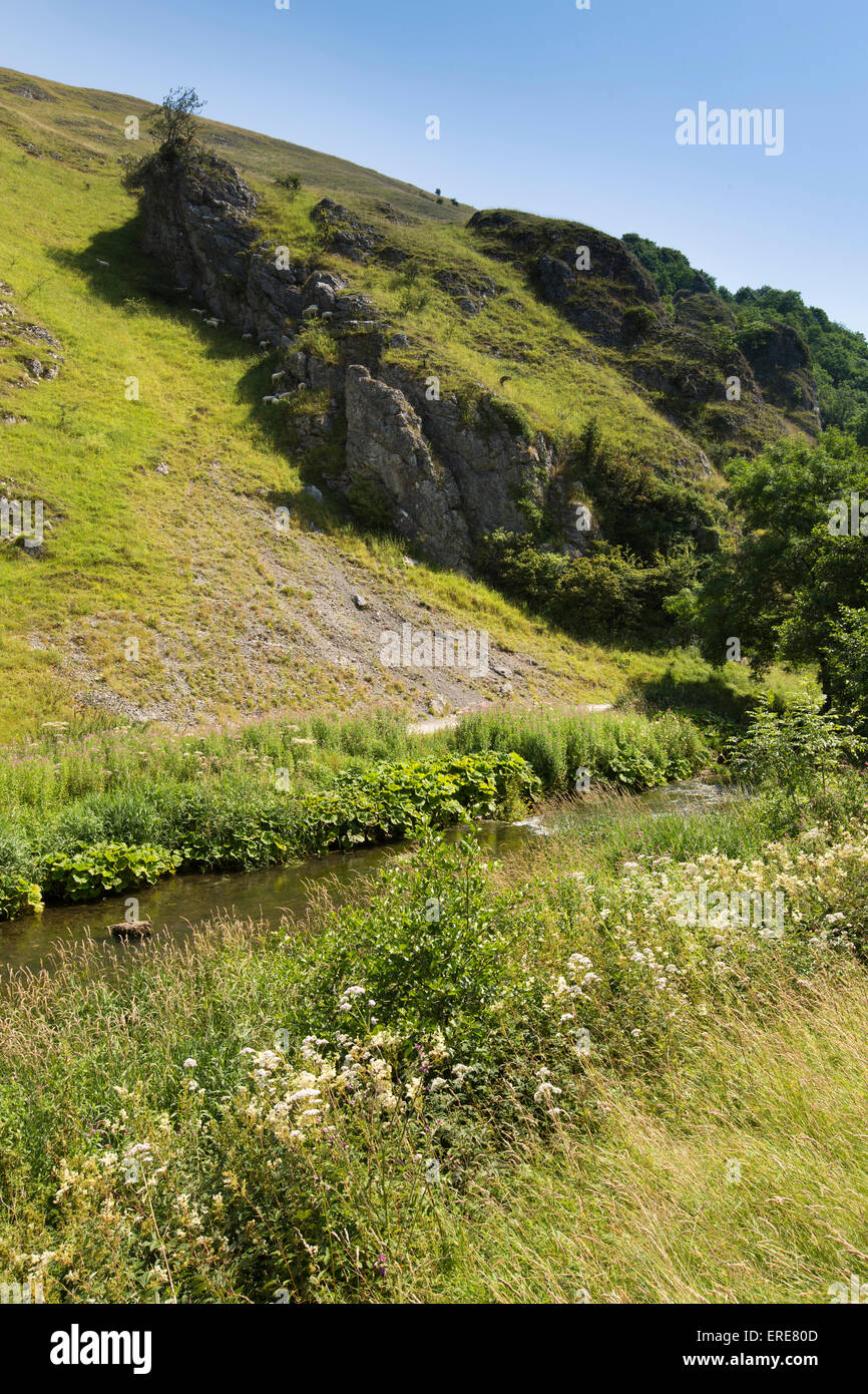 Regno Unito, Inghilterra, Staffordshire, Dovedale, Colomba di fiume che scorre al di sotto di sperone roccioso sulla collina Baley Foto Stock
