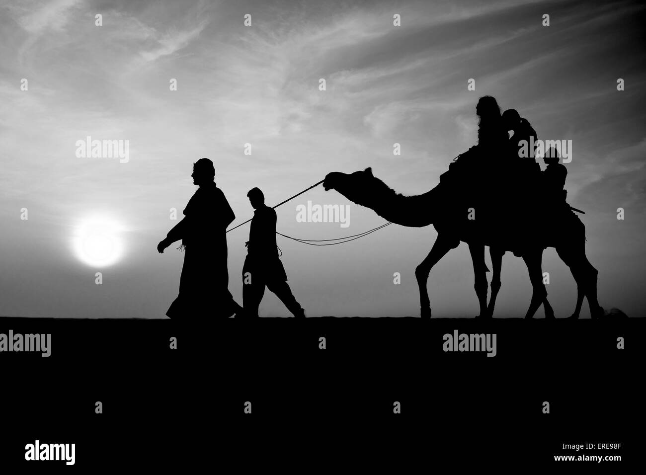 India Rajasthan, Jaisalmer, corsa in cammello deserto Foto Stock