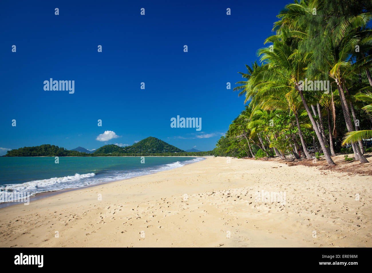 Le palme sulla spiaggia di Palm Cove in Australia Foto Stock