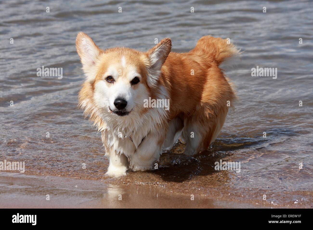 balneazione Foto Stock