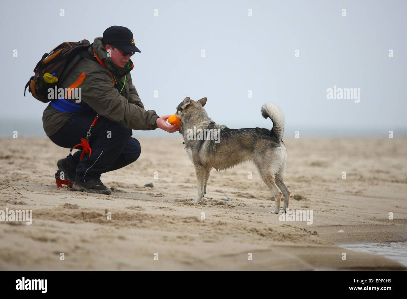 uomo e mongrel Foto Stock