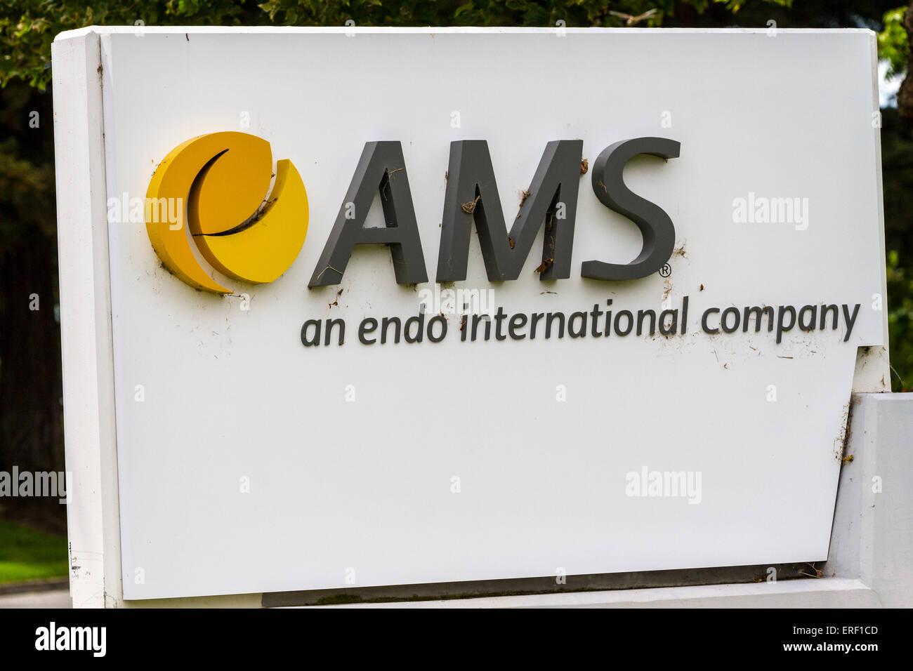 AMS una endo international a prodotti farmaceutici e dei dispositivi medici azienda in San Jose California Foto Stock