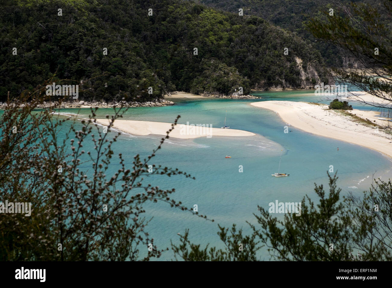 Affacciato sulla baia di Torrent da Abel Tasman via litoranea, Nuova Zelanda. Foto Stock