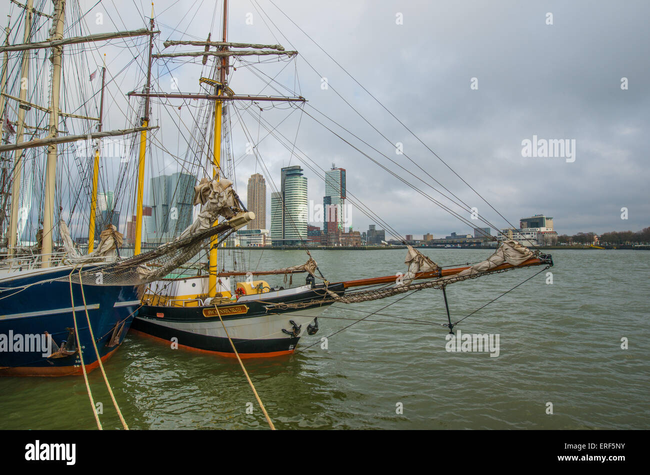 Rotterdam a sud ovest di Holland nella top top 5 deve vedere la città di Lonely Planet famoso per la sua architettura moderna Foto Stock