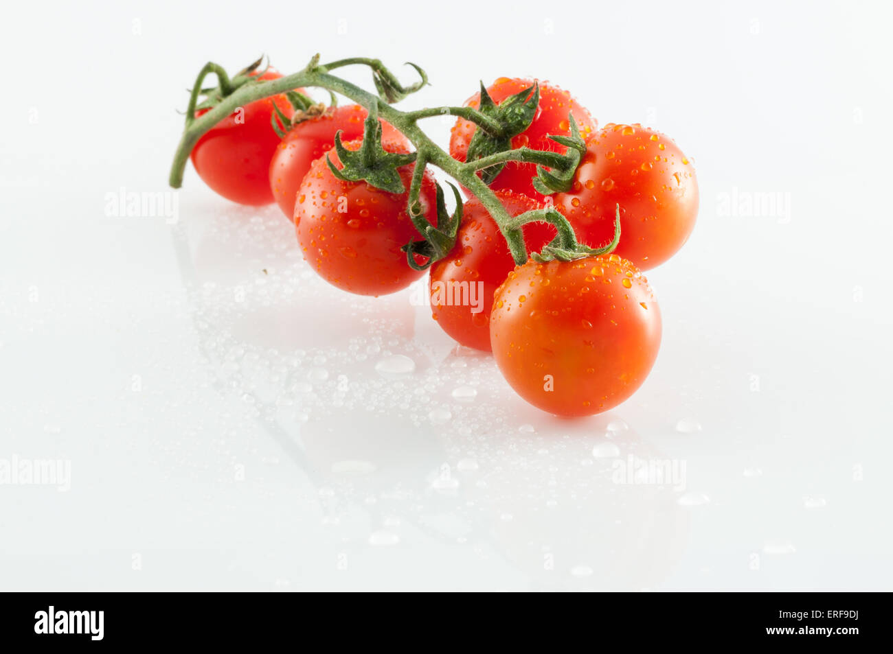 Pomodori di piccole dimensioni su sfondo bianco con riflessioni Foto Stock