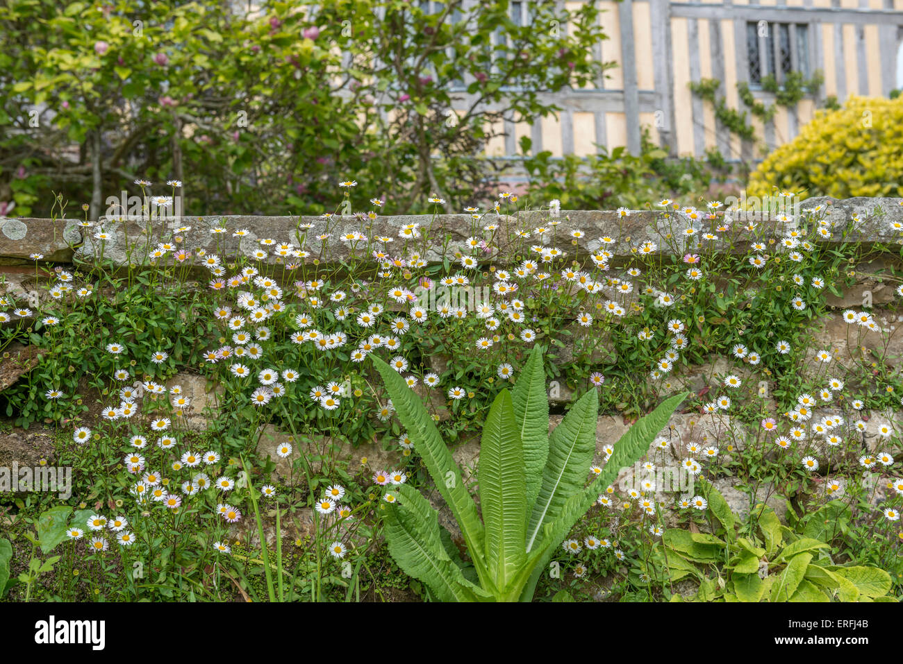 Great Dixter House e giardini. Northiam, segala. East Sussex. In Inghilterra. Regno Unito Foto Stock