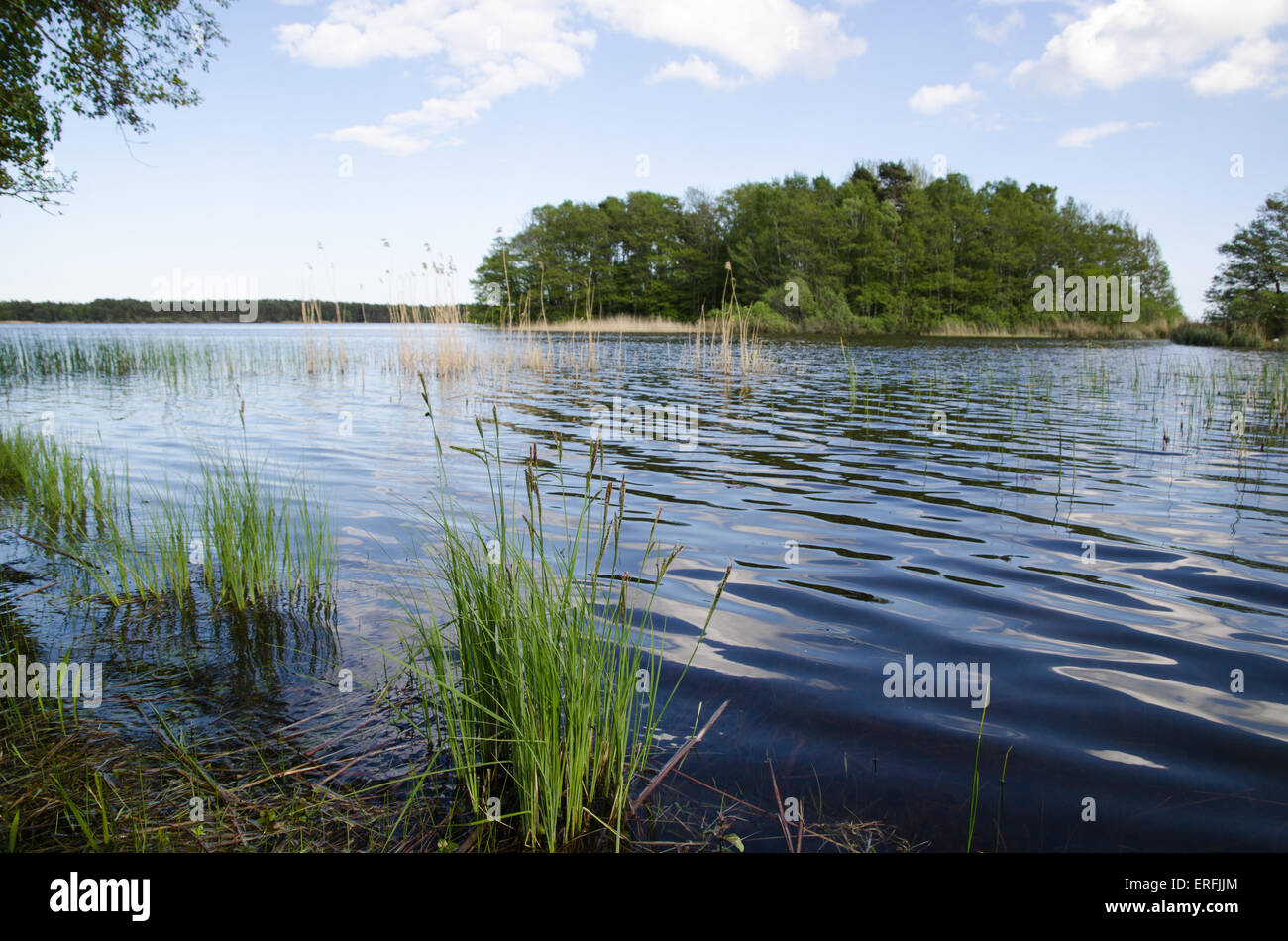 Riflessi di acqua in un basso angolo di immagine ad un lago calmo Foto Stock