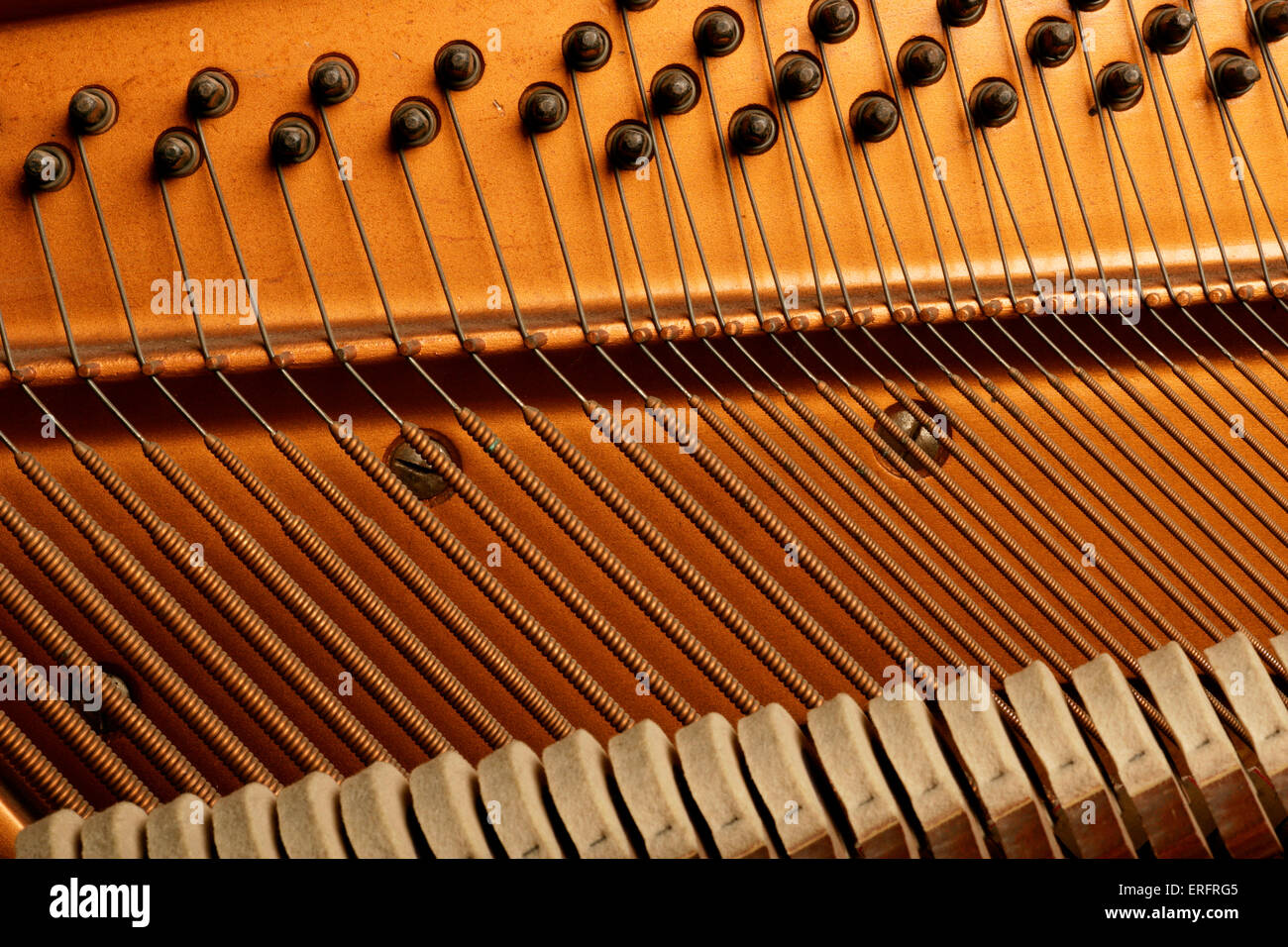 Interno di un pianoforte - mostra le stringhe, martelli e perni o spine, tutti parte dell'azione o il meccanismo Foto Stock