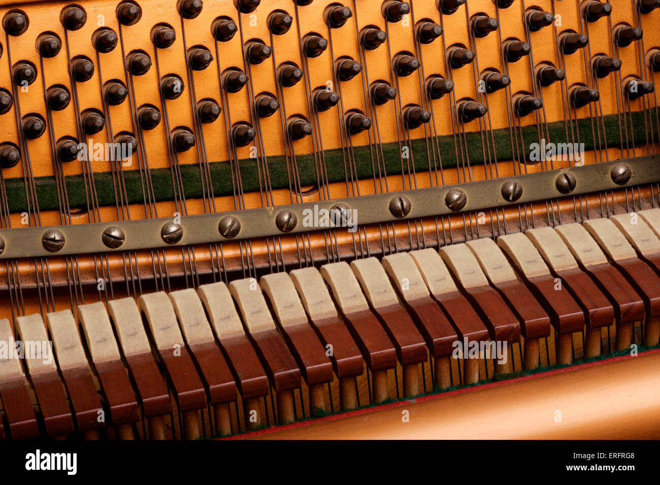 Interno di un pianoforte - mostra le stringhe, martelli e perni o spine, tutti parte dell'azione o il meccanismo Foto Stock