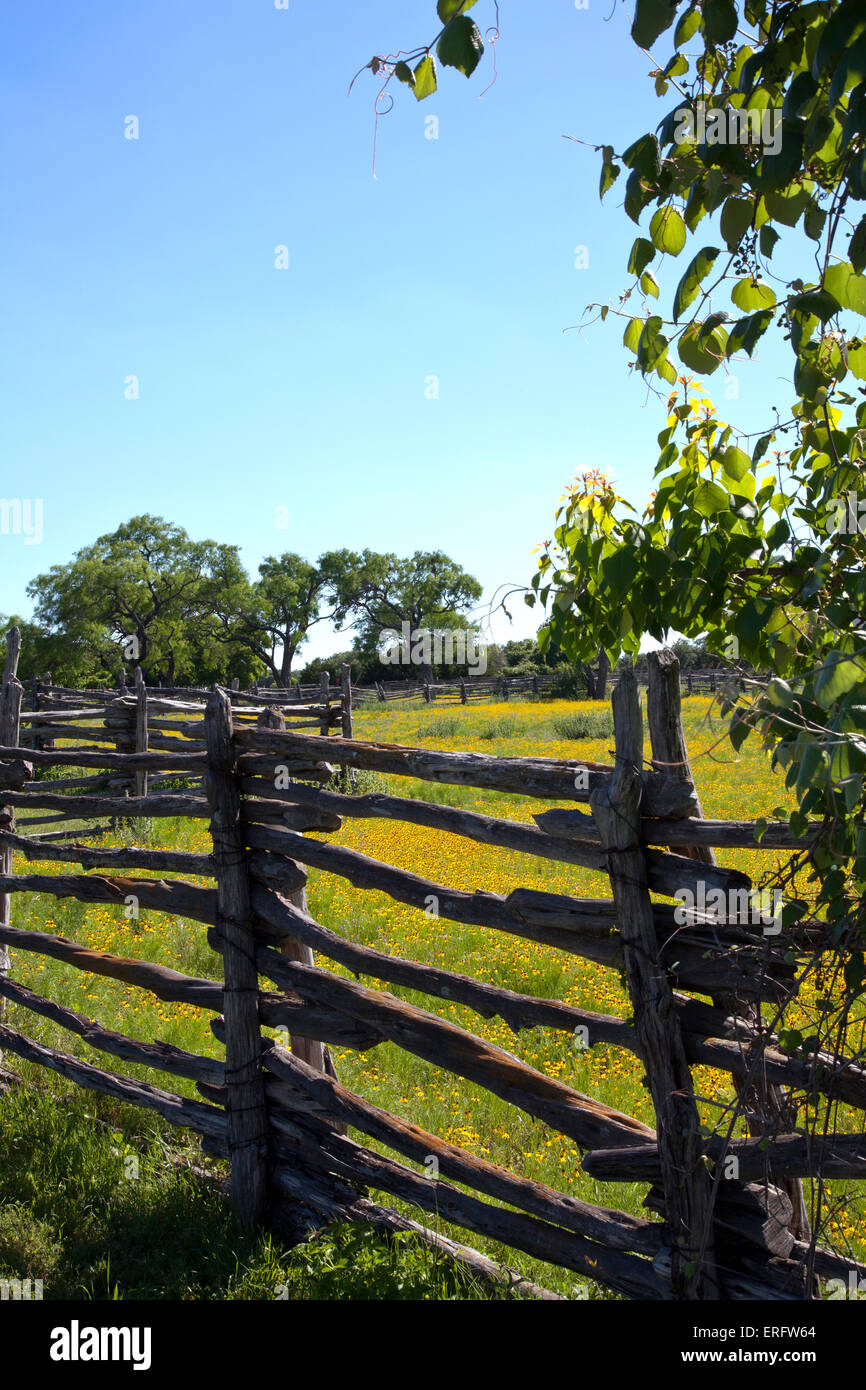Incorniciato da campi di cono giallo fiori e rustico split-rail recinzioni, Johnson insediamento ricrea un precoce Texas farm. Foto Stock