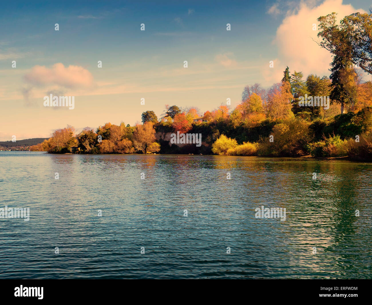 Lake Taupo alberi d'Autunno Foto Stock
