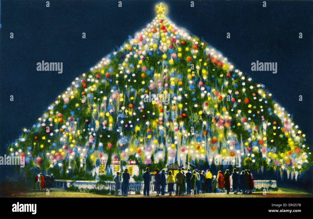 Mondo 's vivente più grande albero di Natale, Wilmington, Carolina del Nord. La didascalia recita: Questo trecento anni di Live Oak è Foto Stock
