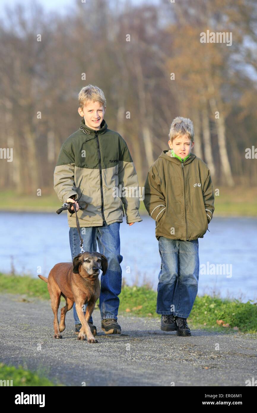 bambini a piedi un cane Foto Stock