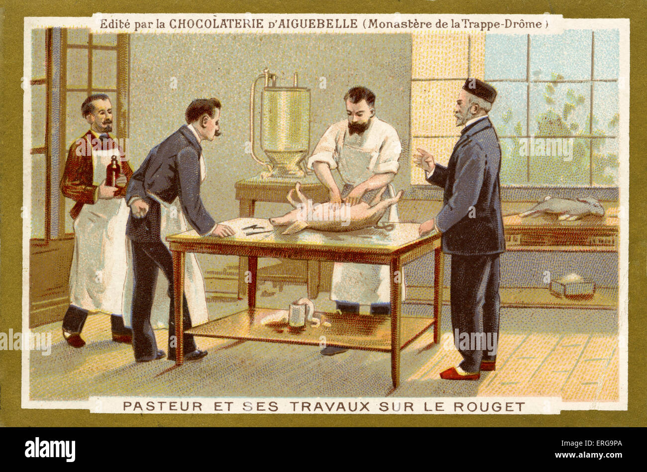 Louis Pasteur a lavorare per trovare una cura per la peste suina / le rouget du Porc; ha sviluppato vaccinationfor nel 1883. Louis Pasteur Foto Stock