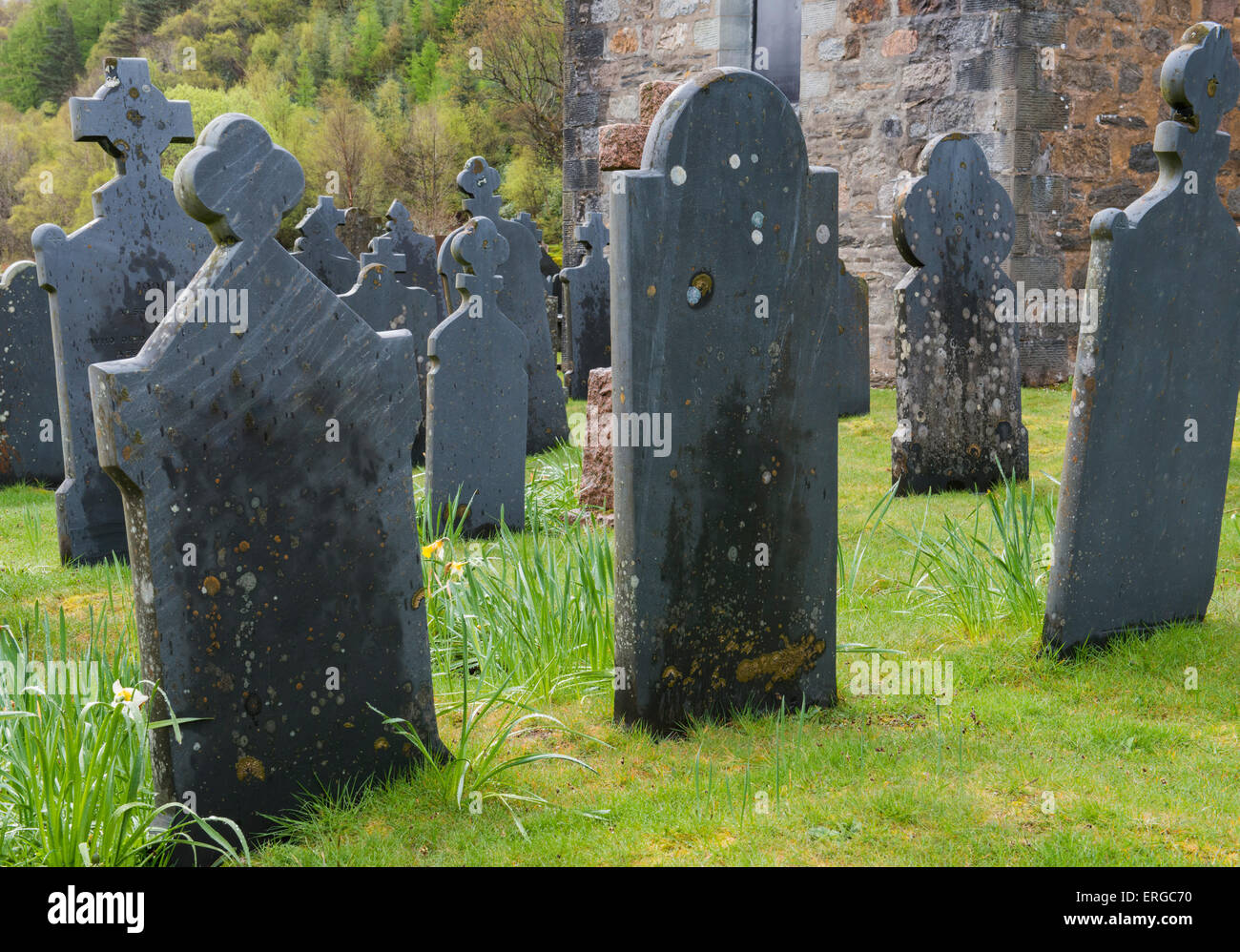 Cimitero Ballachulish con il vecchio, lapidi nero su gras in primavera. Foto Stock