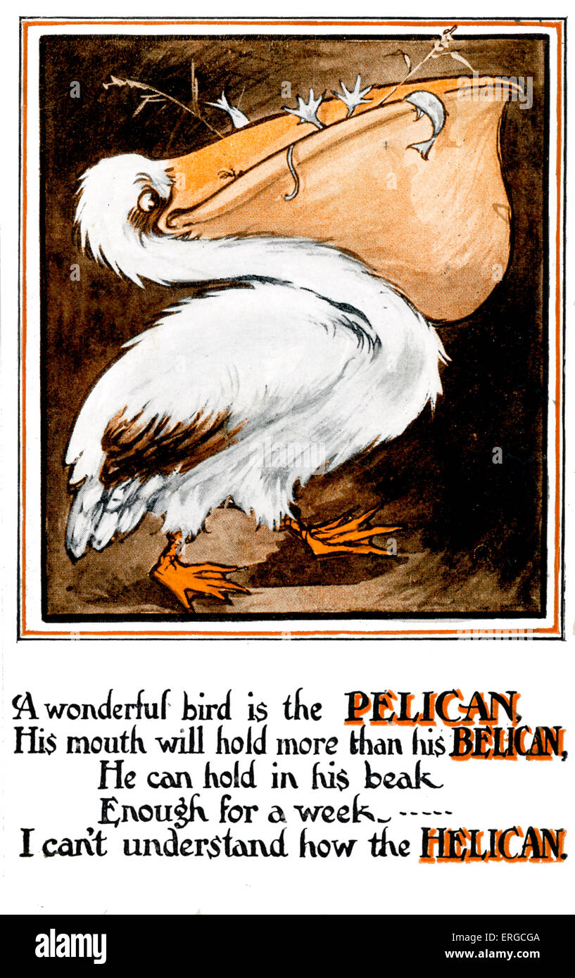 Pelican cartolina con limerick: 'un magnifico uccello è il pellicano/ la sua bocca si detengono più del suo belican, / egli può tenere in Foto Stock