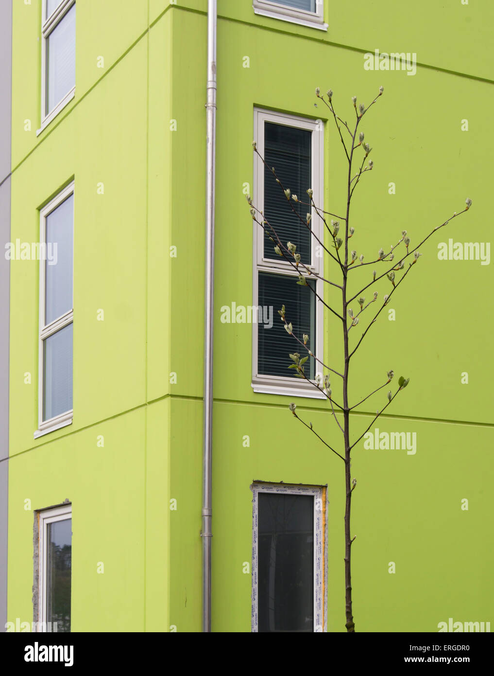 Moderna architettura norvegese, blocco di appartamenti a Sandnes Norvegia con un elemento di forte i colori freschi Foto Stock