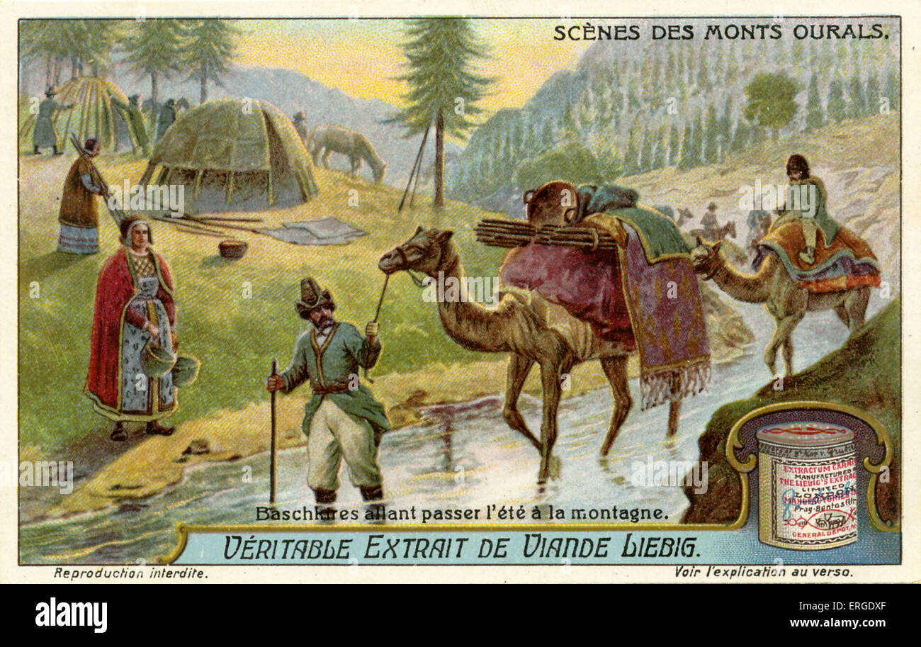 Bashkirs andando a trascorrere l'estate in montagna, 1914. Persone turche indigene Bashkortostan, regione russa tra il fiume Volga e monti Urali. Durante l'estate, cammelli e cavalli sono presi a pascolare nelle alte valli. Le donne tendono a gli animali mentre gli uomini raccolgono miele da api selvatiche che venderanno al loro ritorno in autunno. Liebig company card da collezione serie: Scene di monti Urali ('Scènes des Monts ourals') . Foto Stock