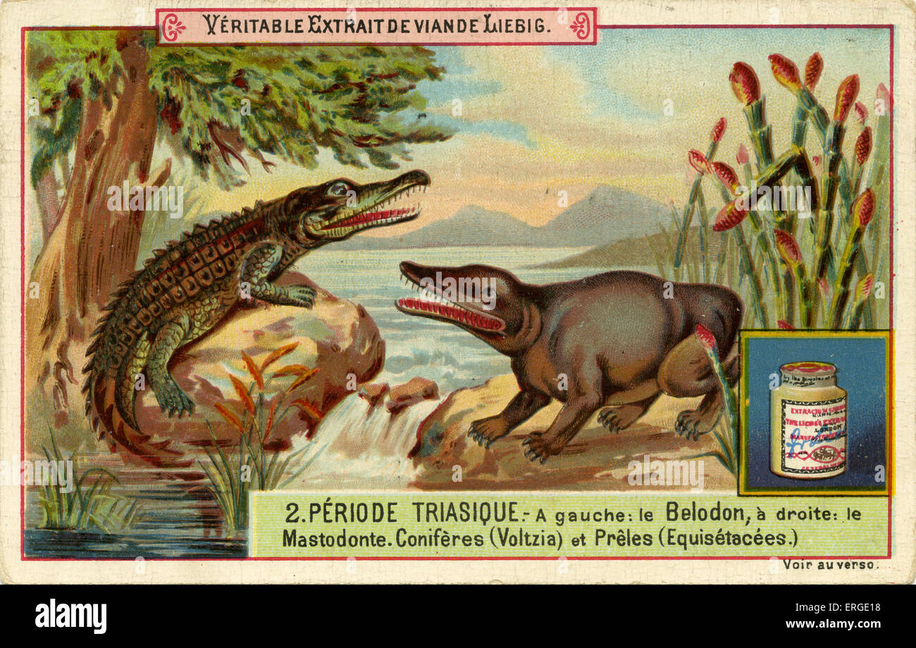 Periodi geologici. Pubblicato nel 1892. Periodo Triassico ("periodo triasique'). Traduzione: "Sinistra: Belodon, destra: Mastodon. Foto Stock