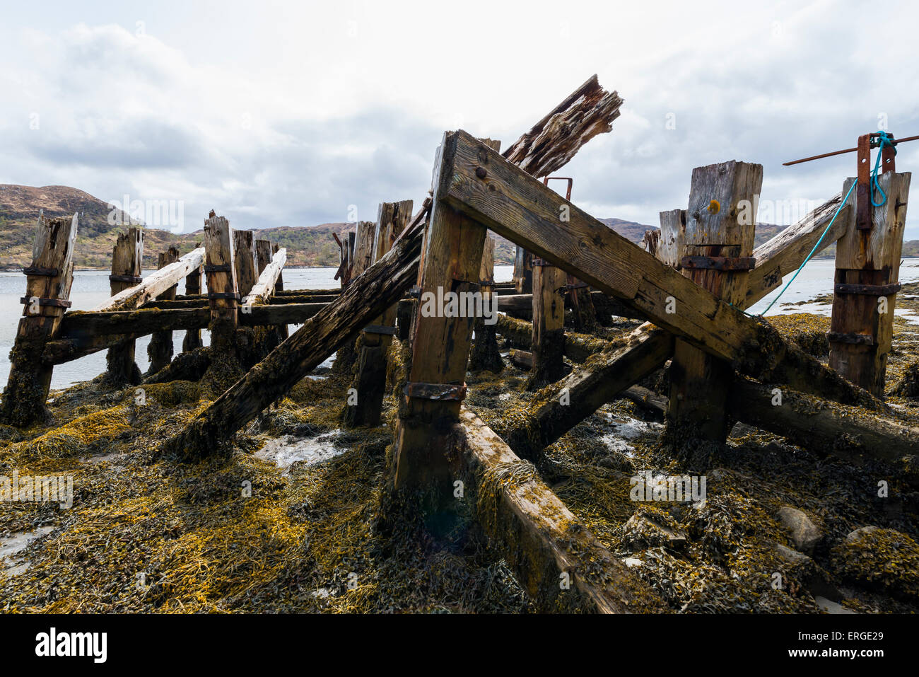 Il vecchio molo con alghe di mare nelle Highlands della Scozia. Foto Stock