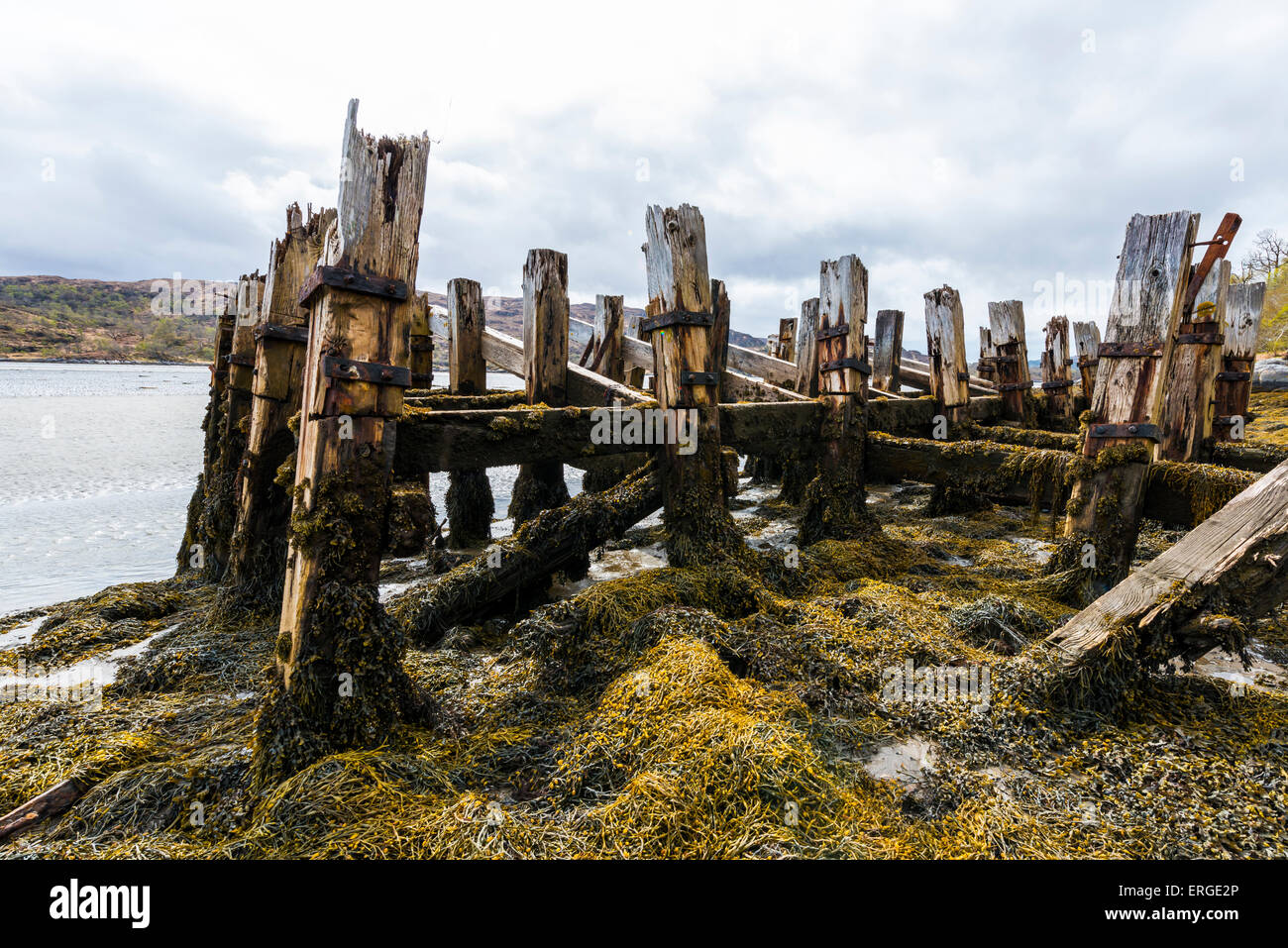 Il vecchio molo con alghe di mare nelle Highlands della Scozia. Foto Stock