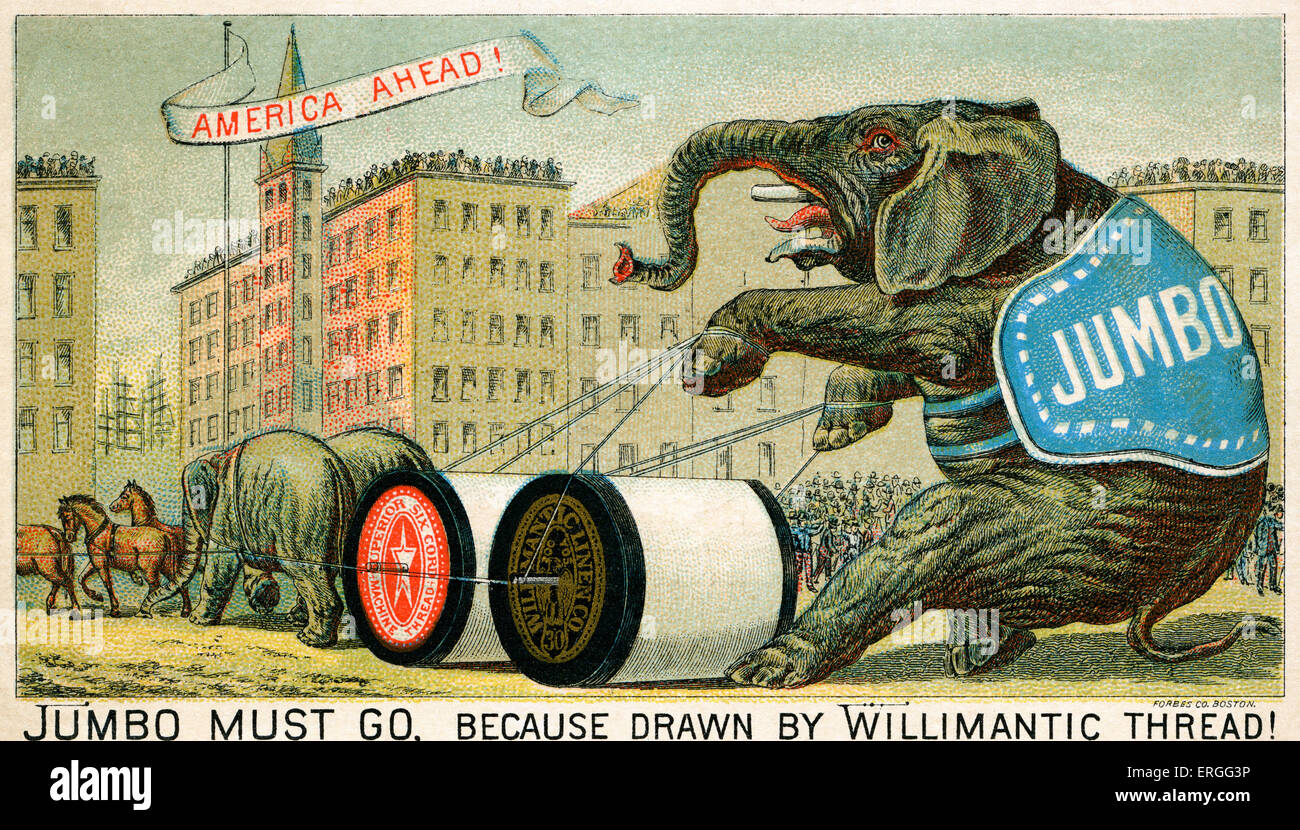 Filettatura Willimantic - fine del XIX secolo la pubblicità per la American - società di base (Atlanta, Georgia), fondata 1881. Didascalia: Foto Stock