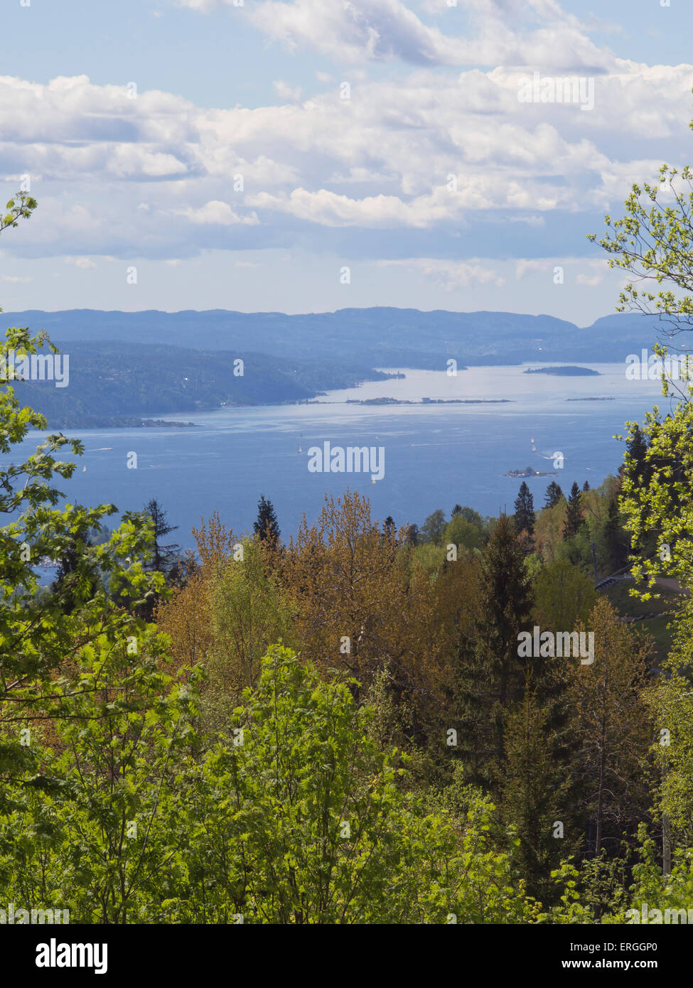 Vista del fiordo di Oslo da Nordmarka foresta su una soleggiata giornata di primavera Foto Stock