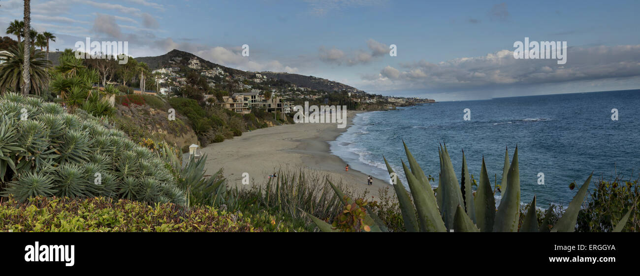 Vista panoramica della spiaggia e circondati da rigogliosa vita vegetale in Laguna Beach in California del Sud Foto Stock