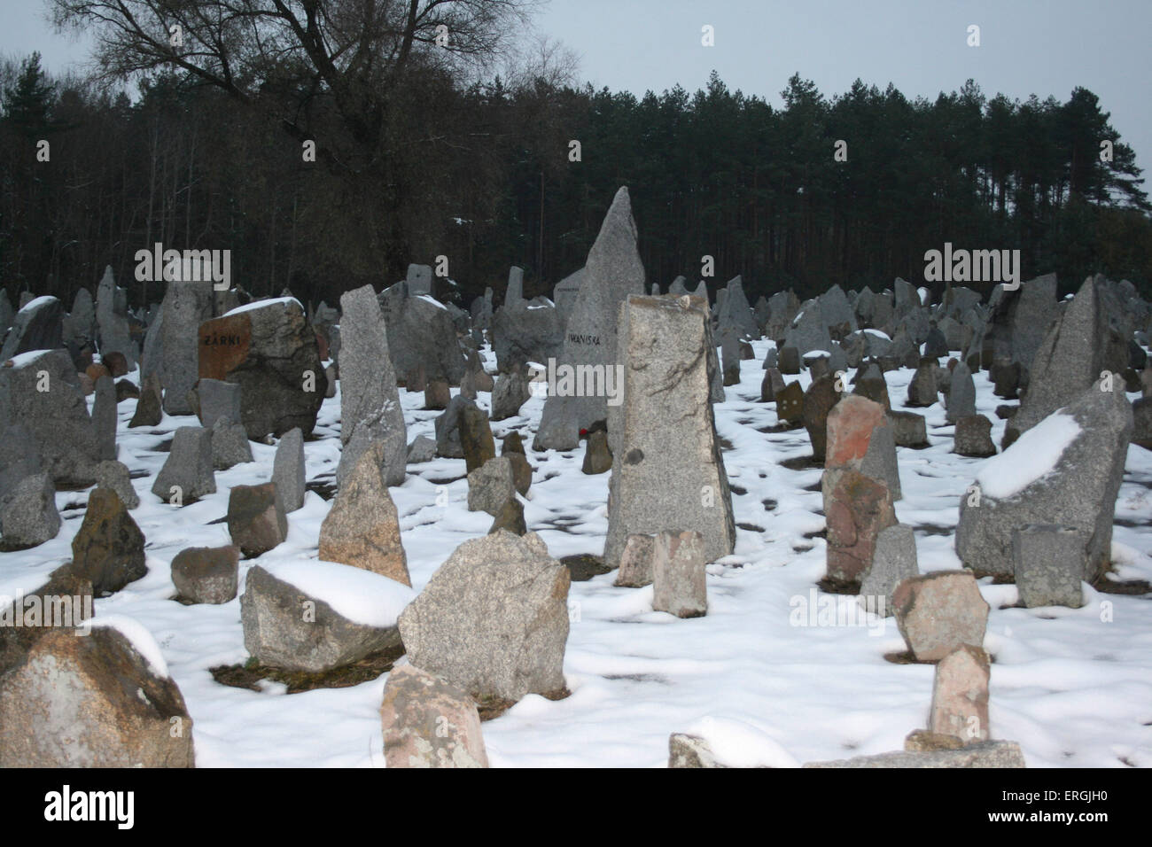 Treblinka, Polonia. Memorial. Sito di sterminio nazista camp attivo dal luglio 1942 all'agosto 1943 quando 870,000 ebrei furono Foto Stock