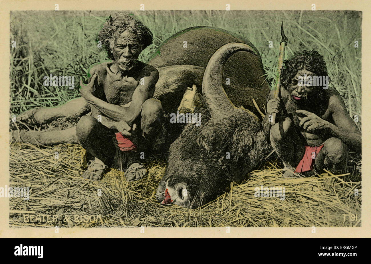 Due agricoltori indiani da morto un bisonte. Colorised fotografia scattata nei primi anni del XX secolo. Foto Stock