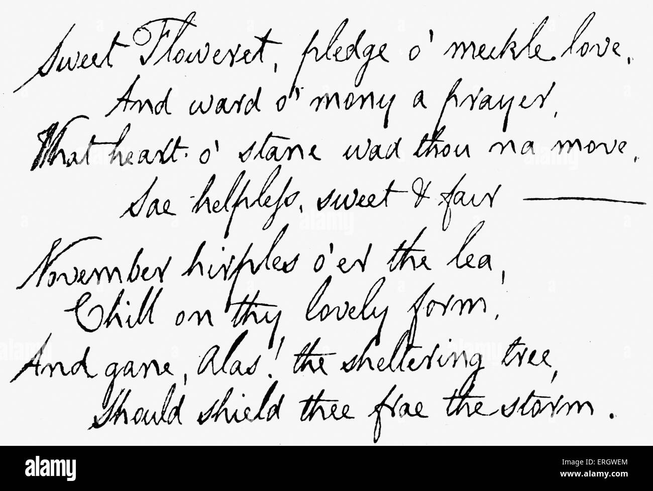 "In occasione della nascita di un figlio postumo" scritta nel 1790 da Robert Burns. Primi due versi del poema: versetto 1: 'Sweet flusso'ret, Foto Stock
