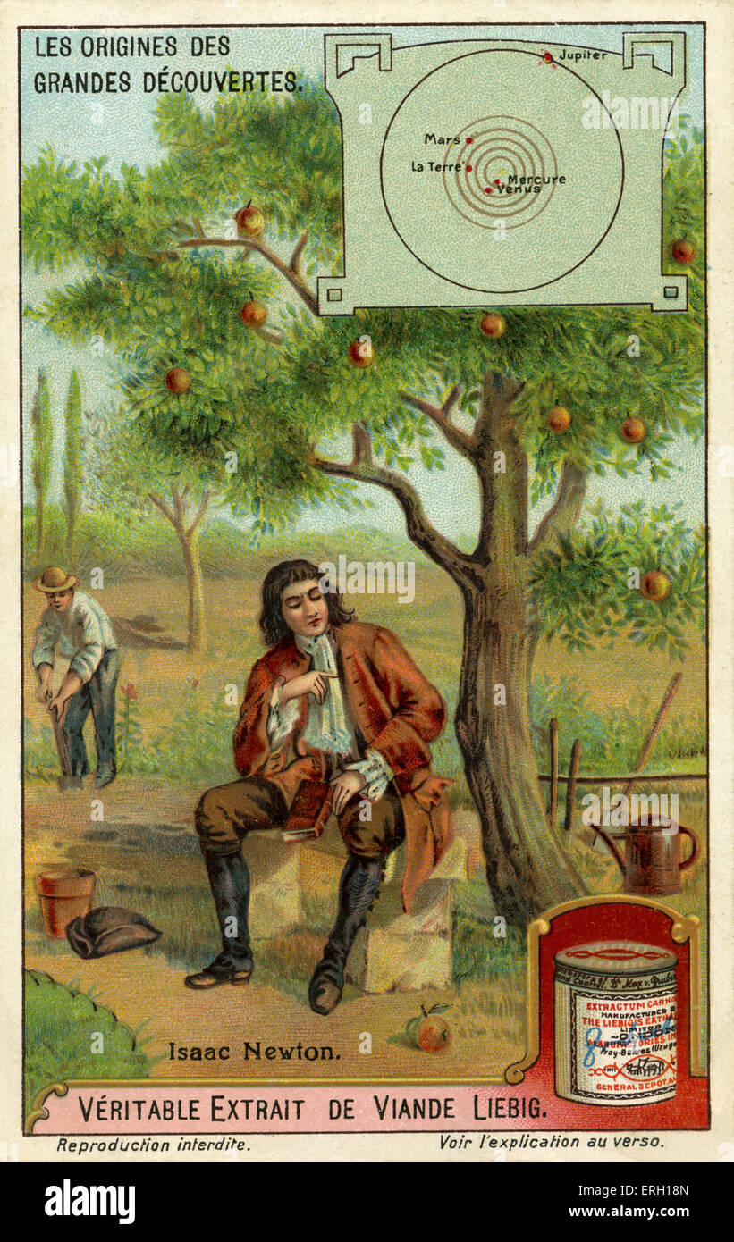 Sir Isaac Newton e la teoria della gravità - seduta accanto a un albero di mele con mele caduta. Fisico inglese, Foto Stock