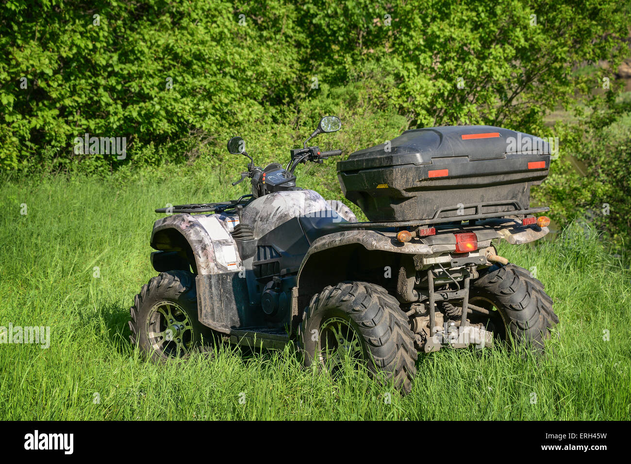 4x4 ATV nella foresta a giornata di sole Foto Stock