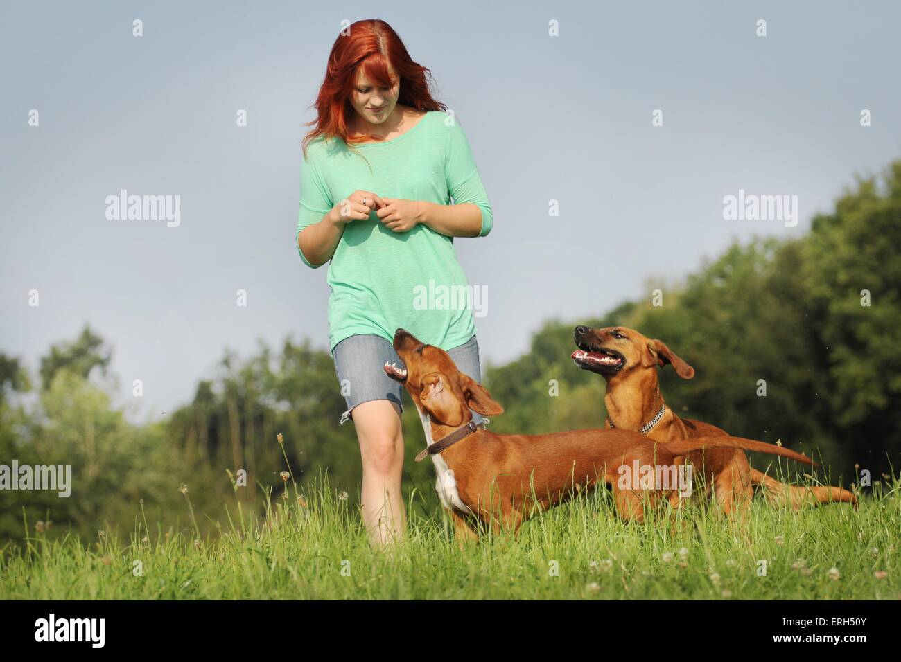 Donna e 2 cani Foto Stock
