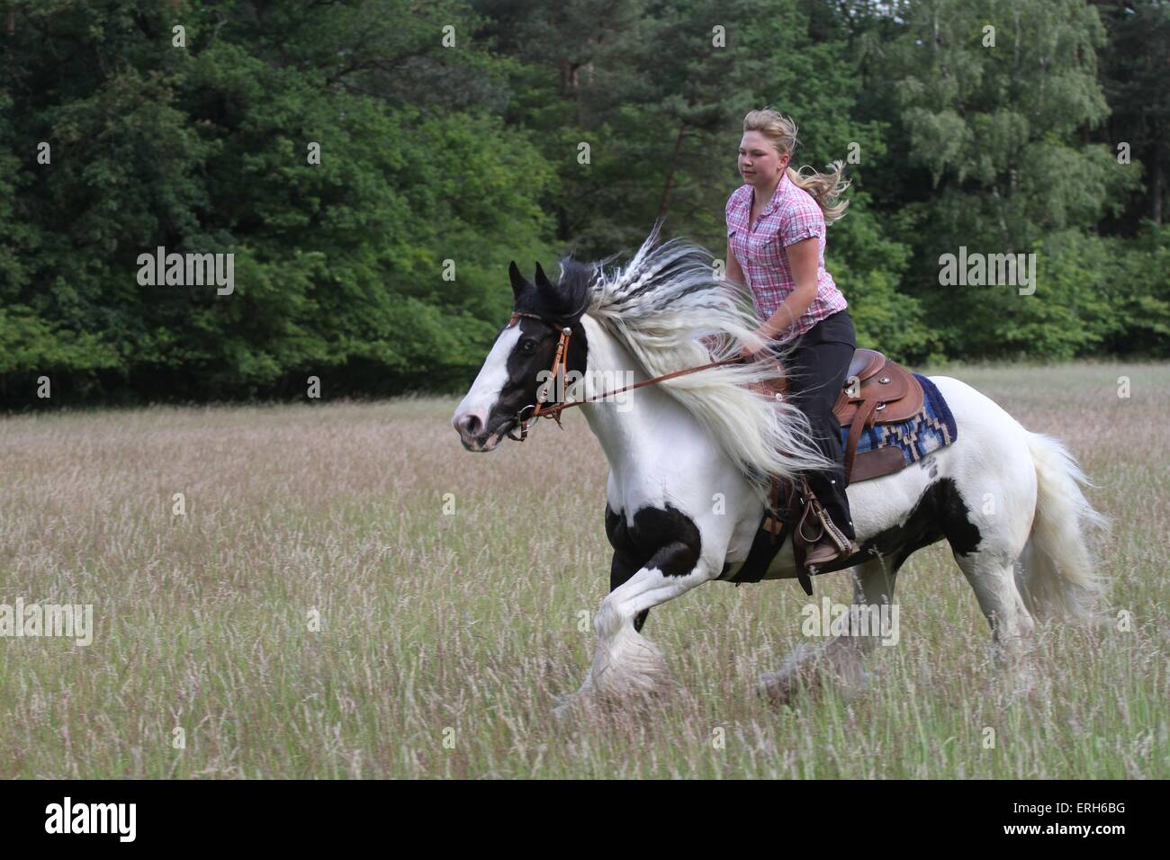 La donna corse Tinker irlandese Foto Stock