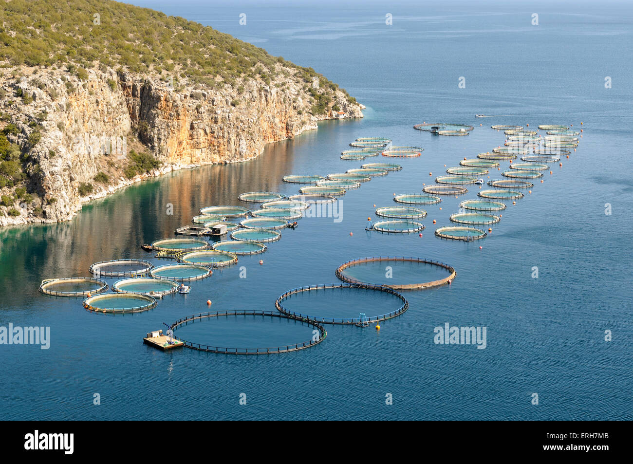 Offshore di orate e spigole la piscicoltura, Grecia Foto Stock