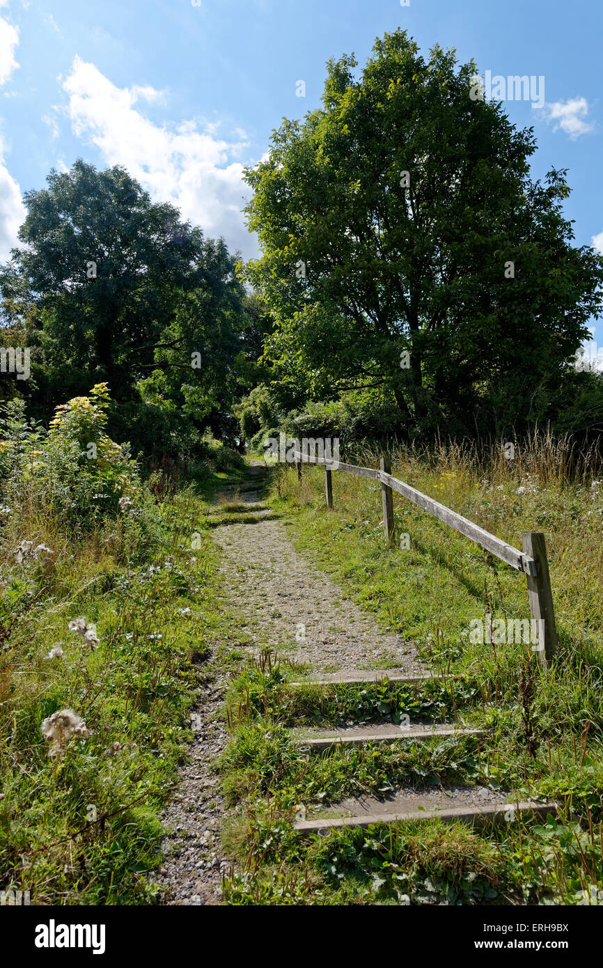 St Cathrin's Hill, Riserva Naturale SSI, Winchester, Hampshire, Inghilterra, REGNO UNITO, GB. Foto Stock