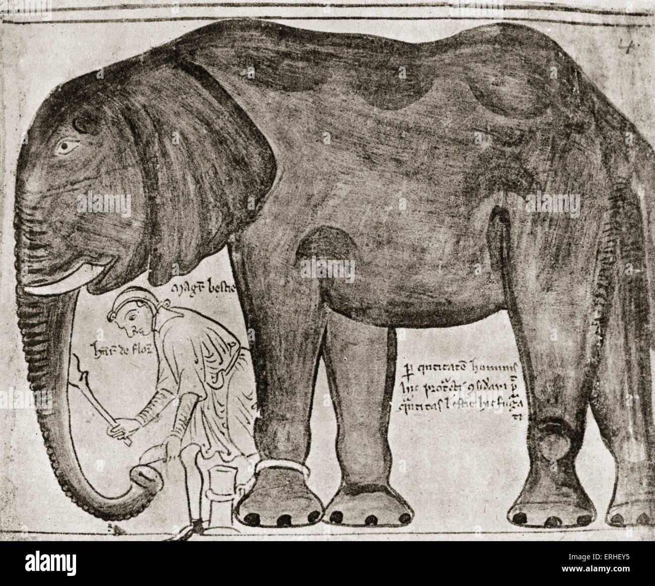 Matteo Paris - Inglese cronista - Illuminazione dalla sua ' Historia principali ' raffigurante l'elefante inviato da San Luigi a Enrico III nel 1255 c.1200-1259 Foto Stock