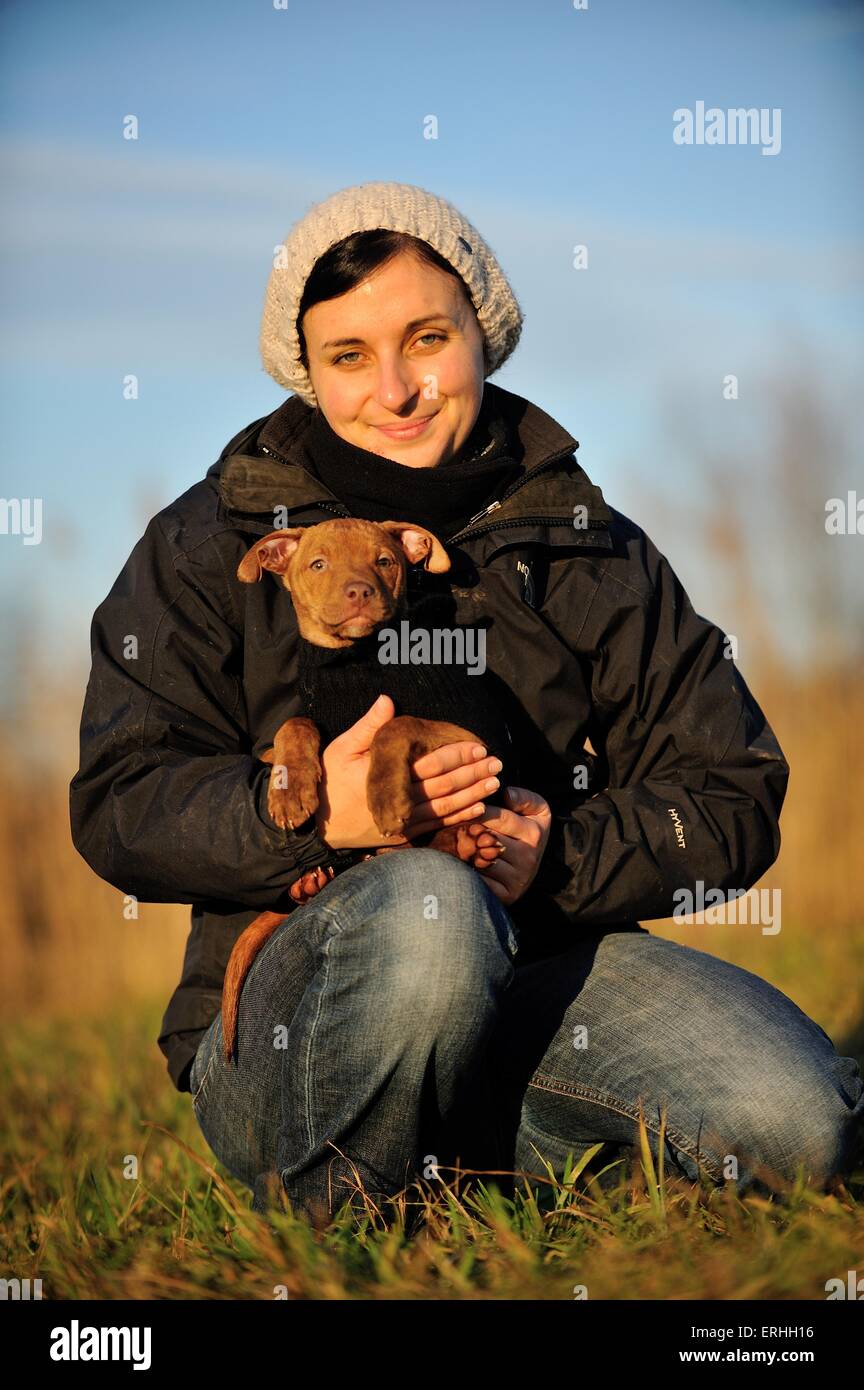Donna con giovani Pitbull-mongrel Foto Stock