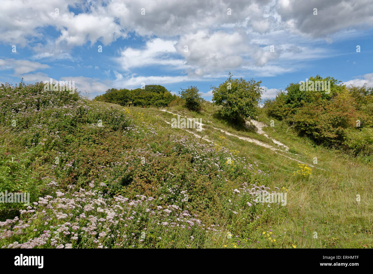 St Catherine Hill, Età del Ferro Hill Fort, Winchester, Hampshire, Inghilterra, Regno Unito. Foto Stock